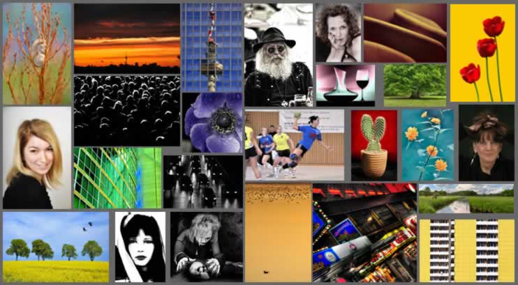 portfolio